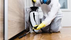 Best Termite Inspection and Treatment  in Mvern, AL